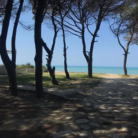 Rebi Daire Golem (Tirana)